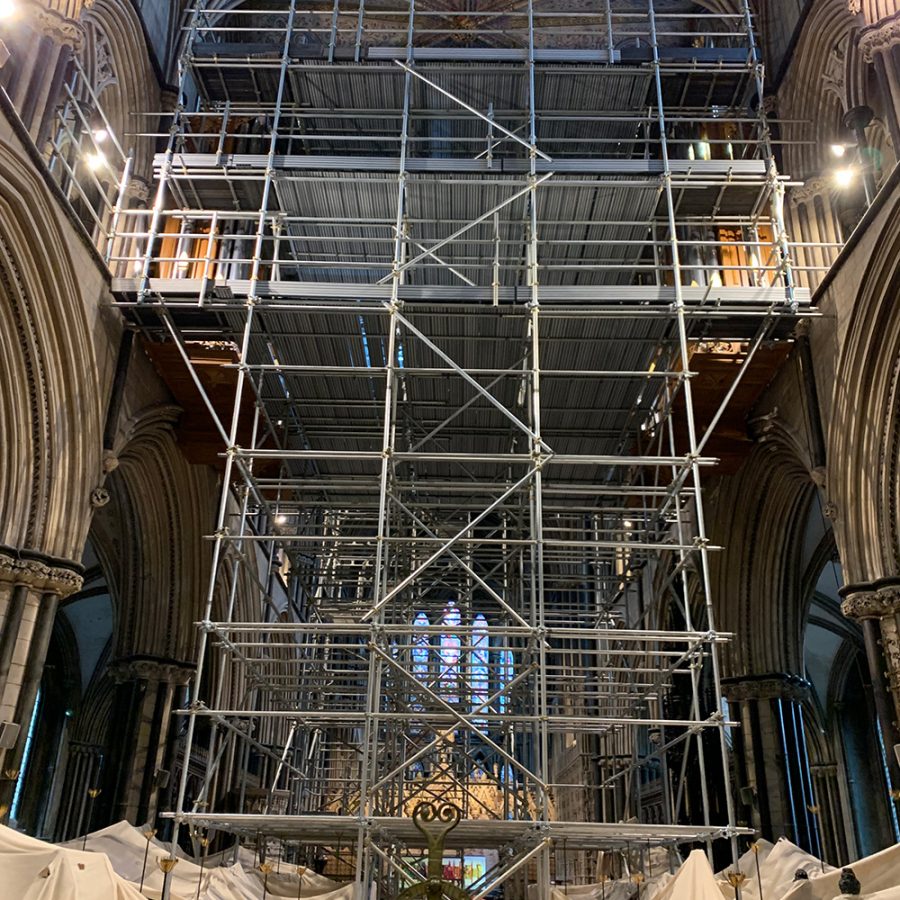 Internal birdcage scaffold