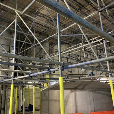 Internal birdcage scaffold